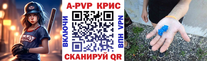 A PVP СК КРИС  Олонец 