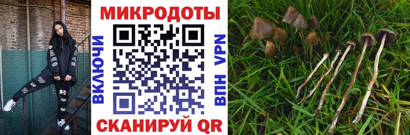 Галлюциногенные грибы MAGIC MUSHROOMS дарнет шоп Олонец